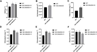 Overexpression of 18S rRNA methyltransferase CrBUD23 enhances biomass and lutein content in Chlamydomonas reinhardtii